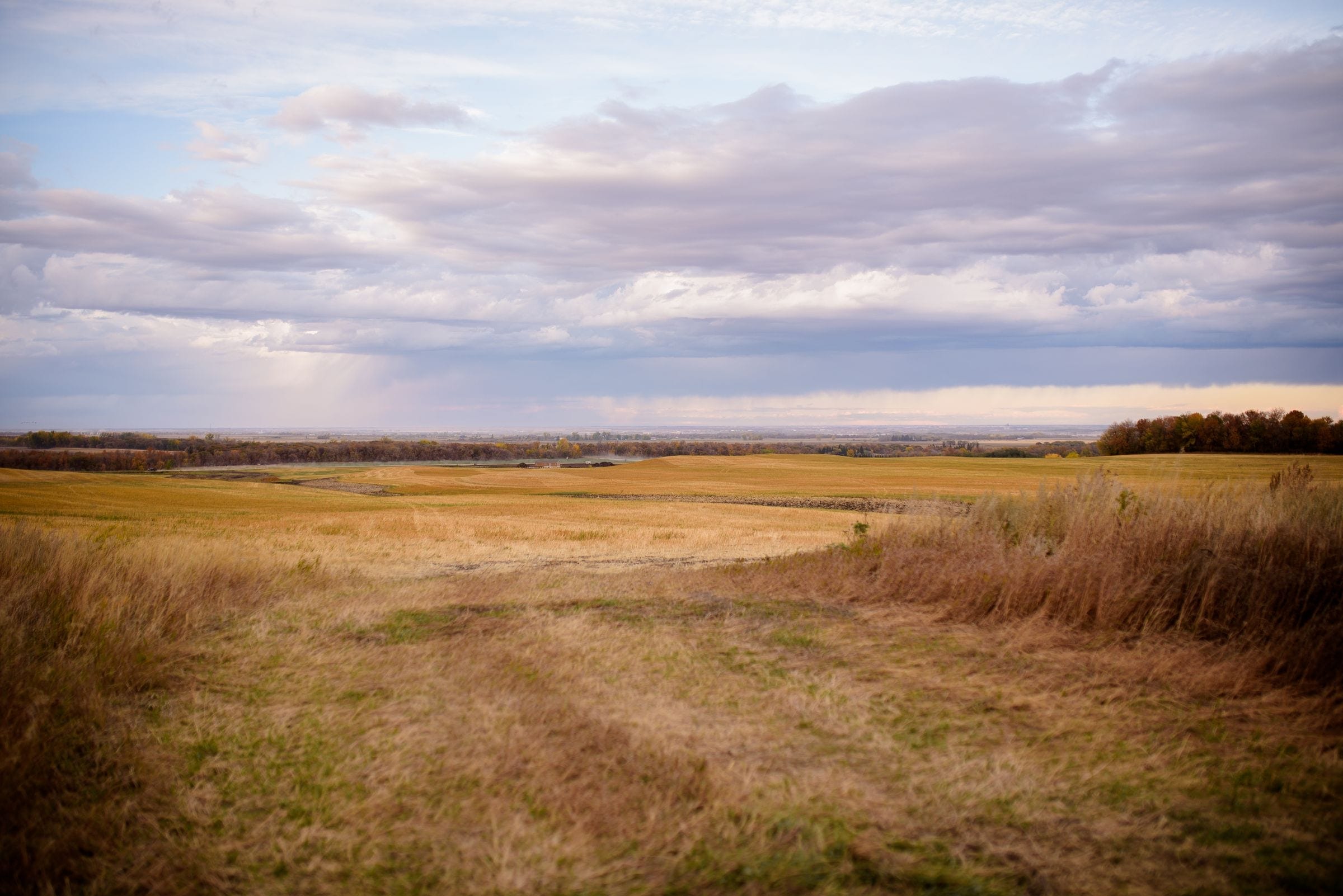 Windshield replacement Aberdeen SK area: harvested grain fields and tree lines under a cloudy fall sky