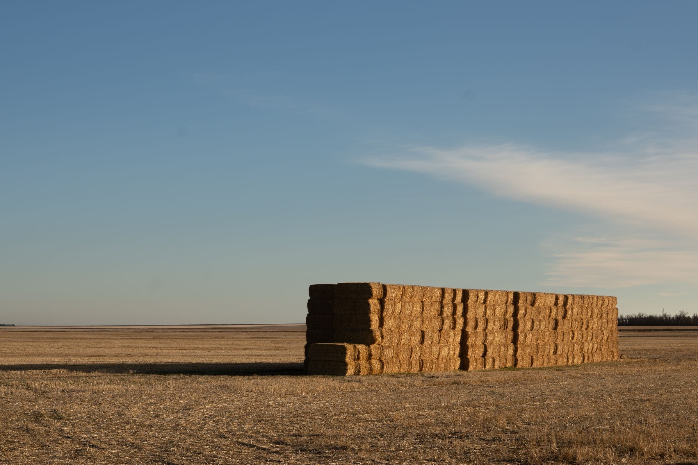 Windshield replacement Vanscoy area: stack of large square straw bales on a harvested prairie field